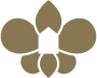 orchid-brand-logo