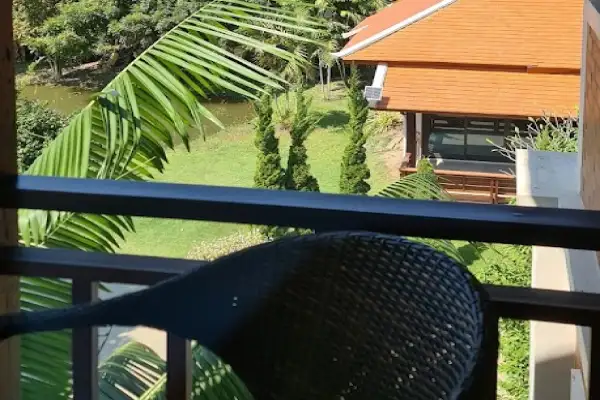 palm-tree-view