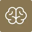 brain